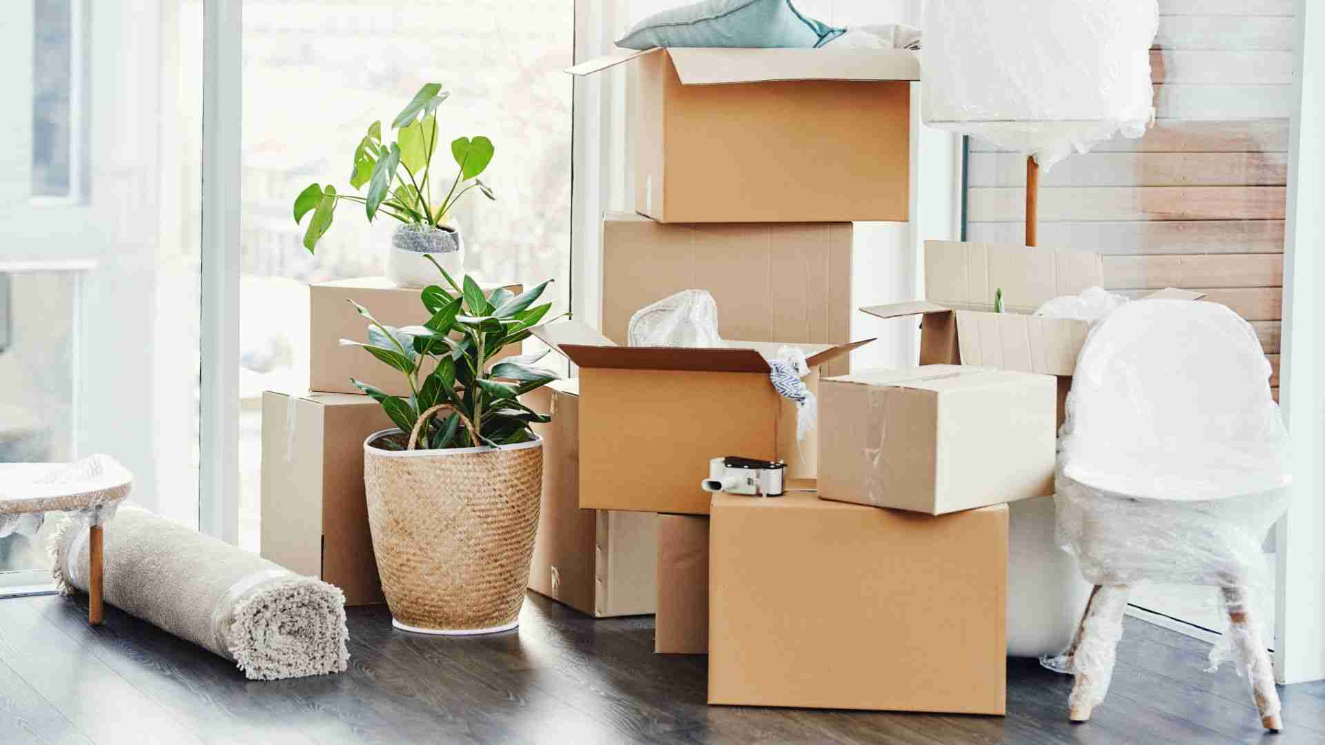 residential-moving-groofy-movers