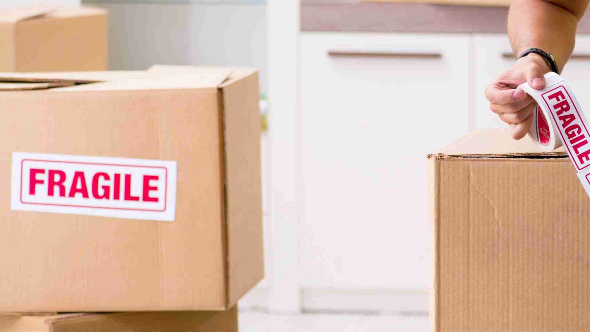 speciality-moving-service-groofy-movers